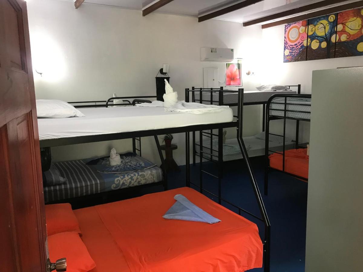 Luminosa Uvita Hostel Buitenkant foto
