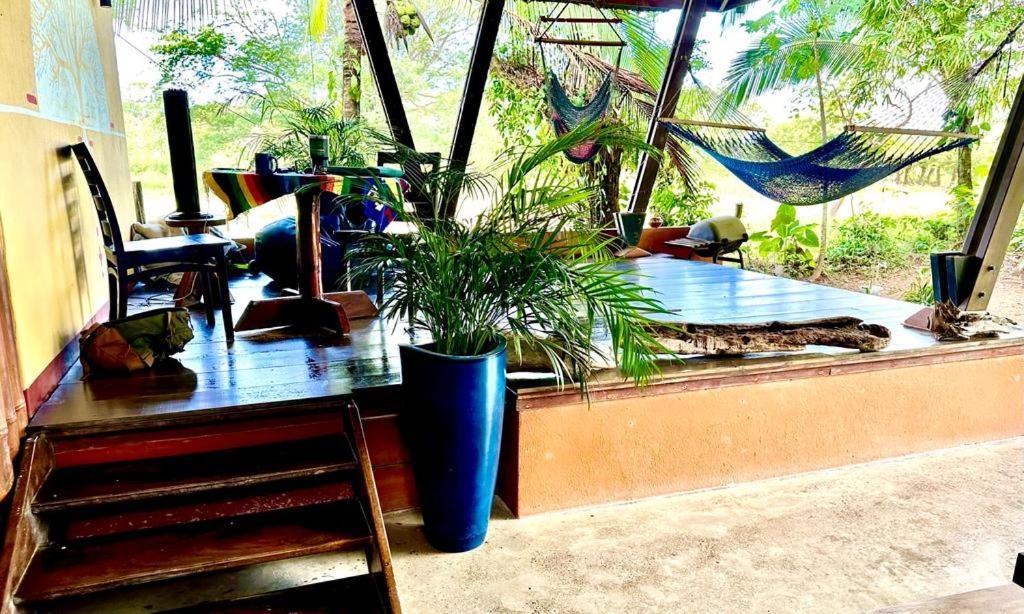 Luminosa Uvita Hostel Buitenkant foto
